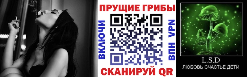 где найти наркотики  мориарти какой сайт  kraken маркетплейс  Галлюциногенные грибы Magic Shrooms  Батайск 